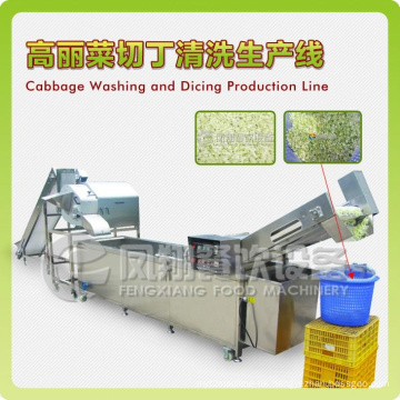 Cabbage/Mango Dicing and Washing Production Line